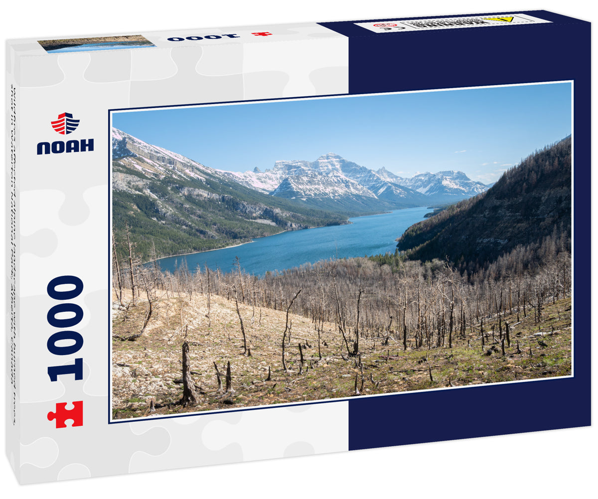 Wildfires affected alpine landscape with burned trees, shot in Waterton National Park, Alberta, Canada