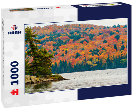 Fall colors Algonquin Park, Ontario, Canada