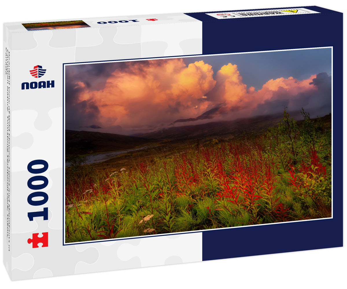 Beautiful View of Wild Flowers, Trees and Mountains in Canadian Nature. Tomstone Territorial Park, Yukon, Canada