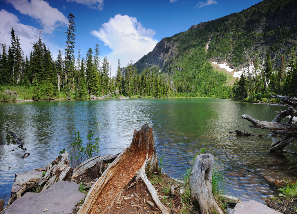 Beautiful shot of Lowe Lake in Waterton Lakes National Park, Canada