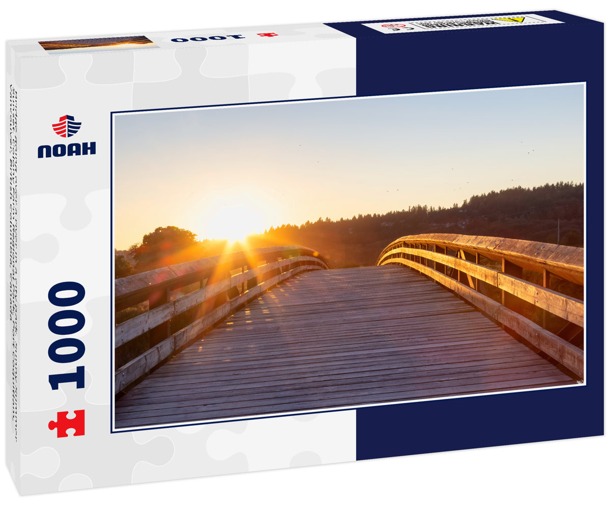 Bridge going over a river in a city park. Sunny Summer Sunset. Colony Farm Regional Park, Port Coquitlam, Vancouver, British Columbia, Canada