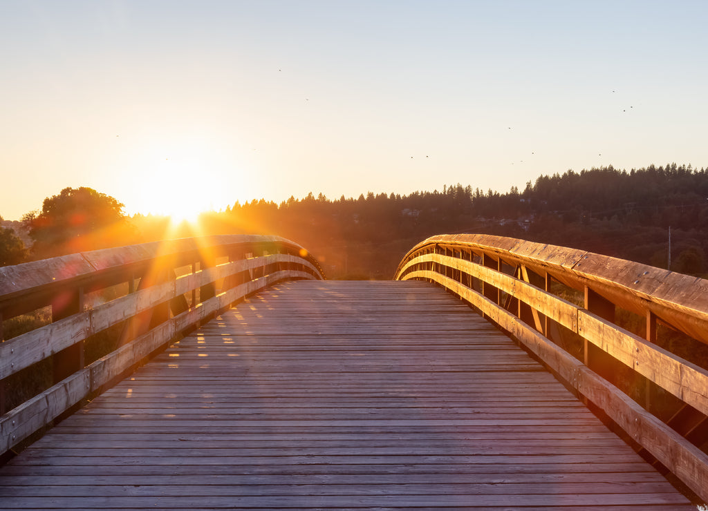 Bridge going over a river in a city park. Sunny Summer Sunset. Colony Farm Regional Park, Port Coquitlam, Vancouver, British Columbia, Canada
