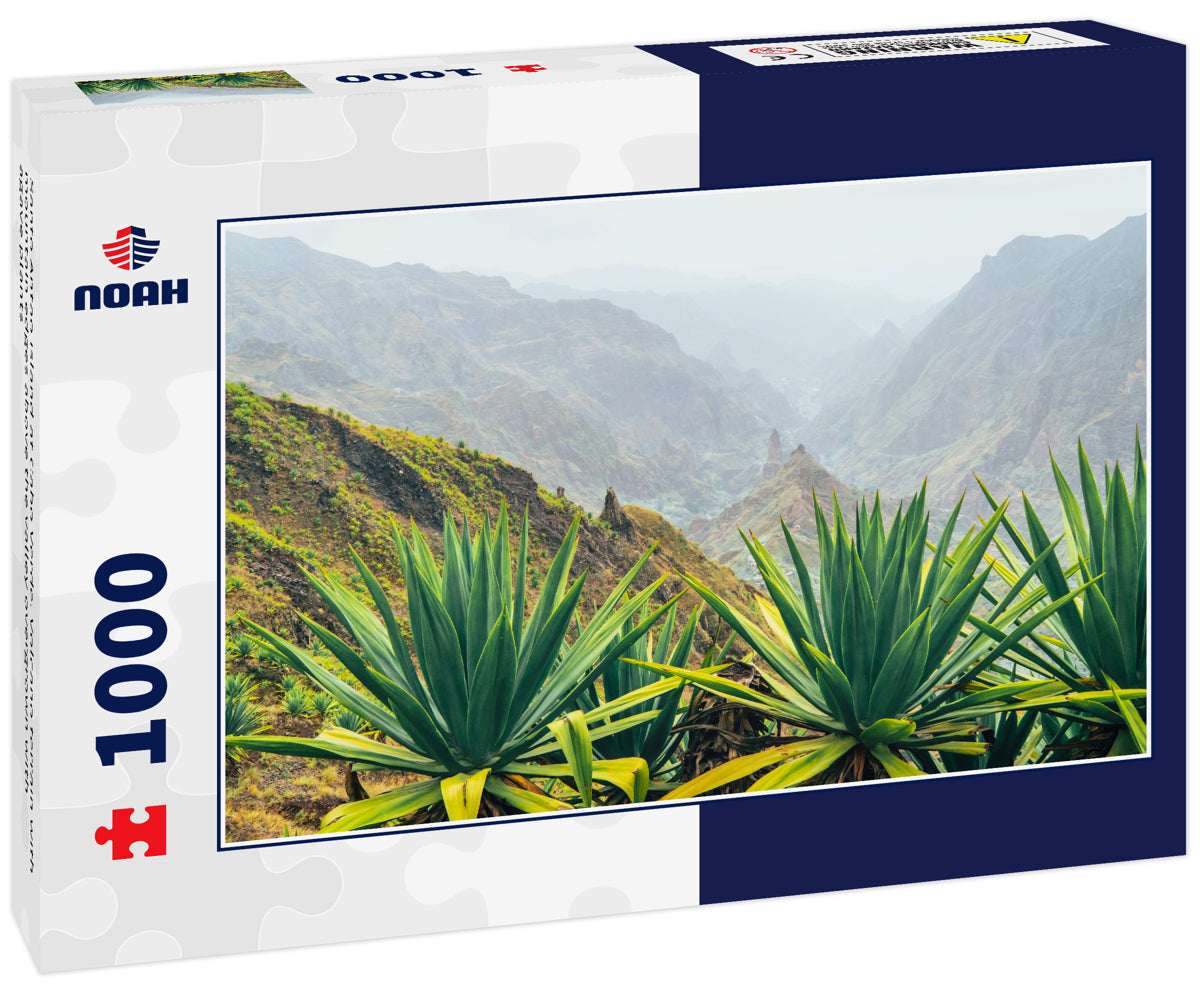 Santo Antao island at Cabo Verde. Volcano terrain with mountain edges above the valley overgrown with agave plants