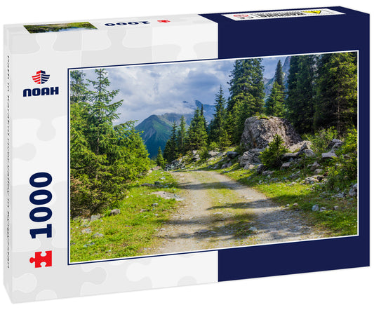 Path in Karakol river valley in Kyrgyzstan