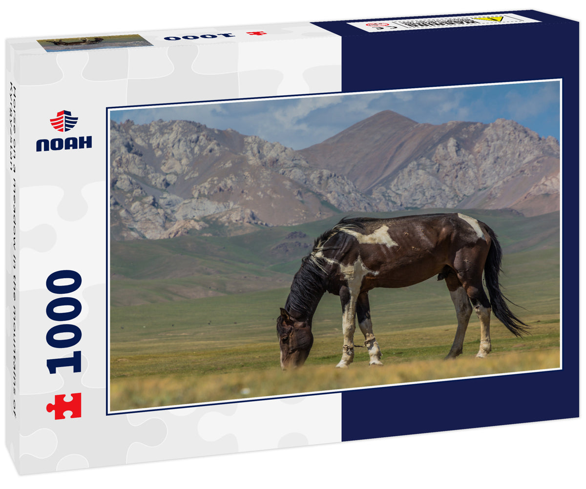 Horse on a meadow in the mountains of Kyrgyzstan