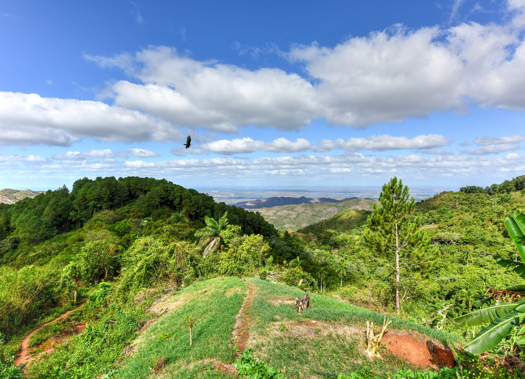 Tropical Landscape - Cienfuegos, Cuba