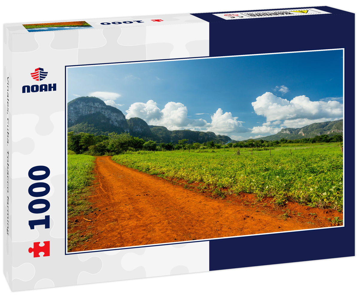 Vinales, Cuba. Tobacco farming