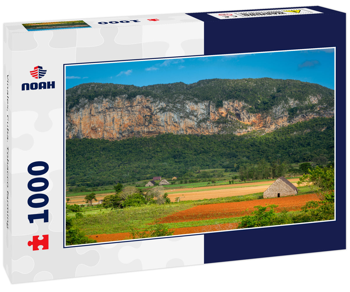 Vinales, Cuba. Tobacco farming