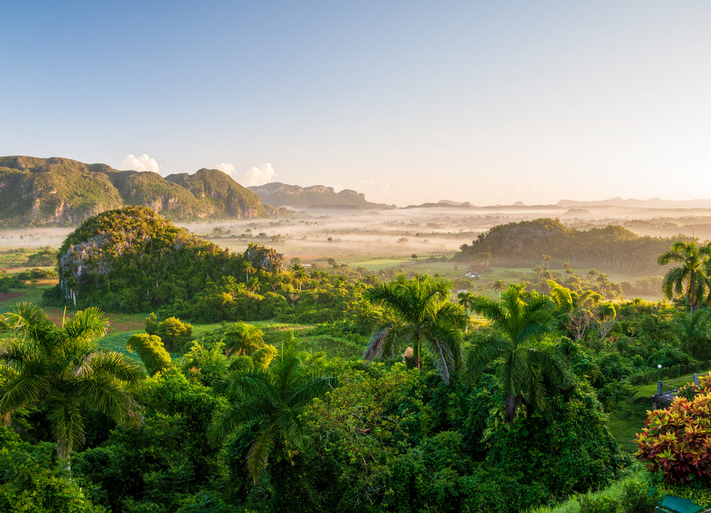 Limestone outcrops named Mogotes at Viñales Valley in near the western end of the island of Cuba is a beautiful karst landscape encircled by mountains