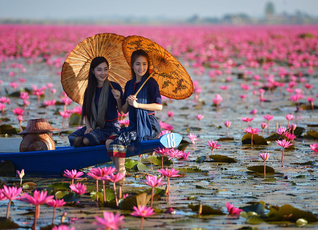 Laos woman in flower lotus lake, Woman wearing traditional Thai people , Red Lotus Sea UdonThani Thailand