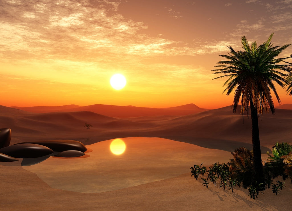 Oasis Desert landscape with a pond, palm trees and stones Libya