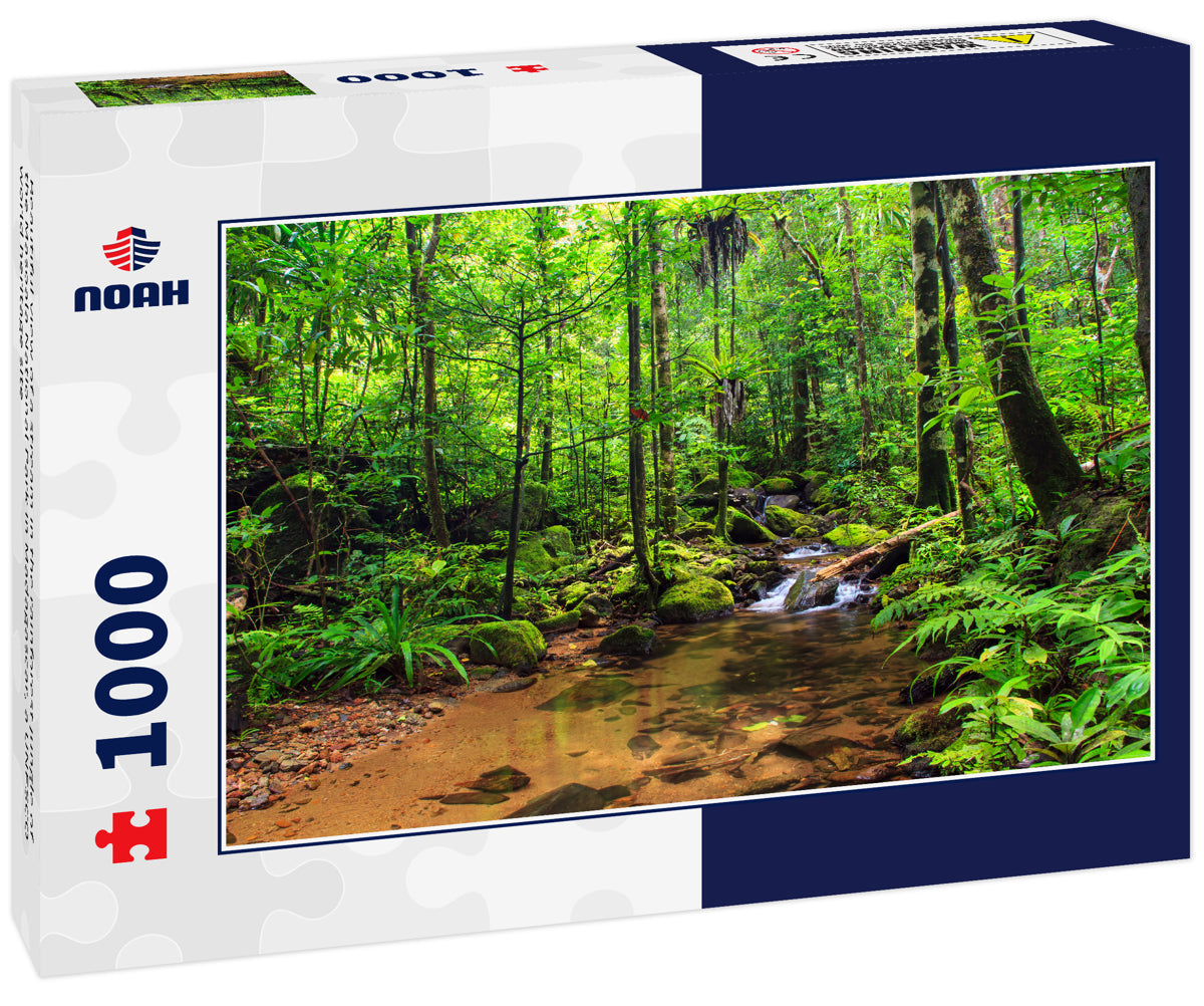 Beautiful view of a stream in the rainforest jungle of the Masoala National Park in Madagascar, a UNESCO world heritage site