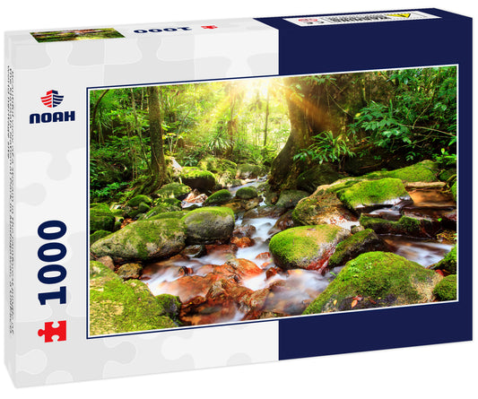 Beautiful view of a stream in the rainforest jungle of the Masoala National Park in Madagascar, a UNESCO world heritage site