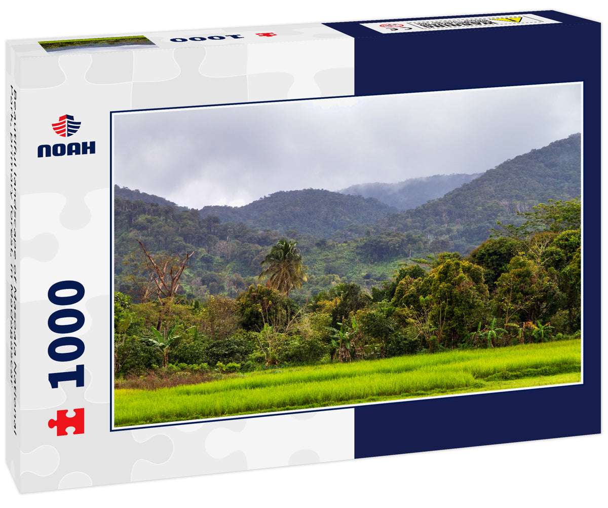 Beautiful landscape of Masoala National Park, primary forest, in Madagascar