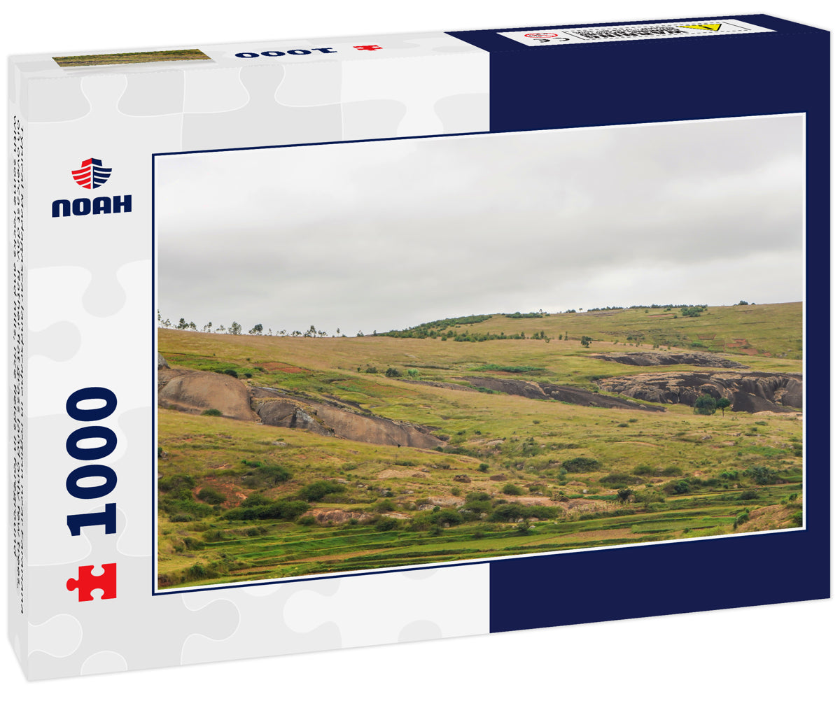 Typical Madagascar landscape in region near Farariana on overcast day. Rather flat grass land only few trees, with some rocks and hills, rice fields in foreground