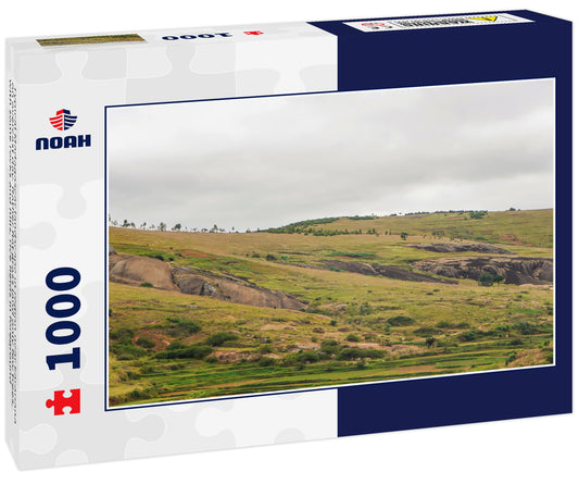 Typical Madagascar landscape in region near Farariana on overcast day. Rather flat grass land only few trees, with some rocks and hills, rice fields in foreground