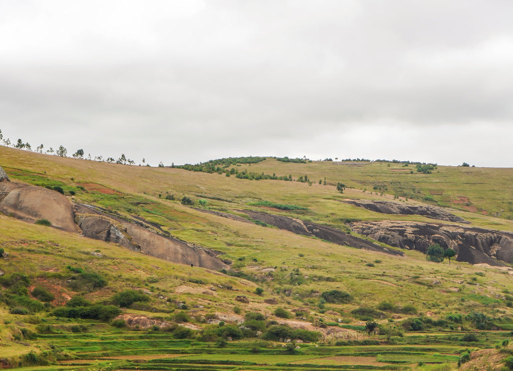 Typical Madagascar landscape in region near Farariana on overcast day. Rather flat grass land only few trees, with some rocks and hills, rice fields in foreground