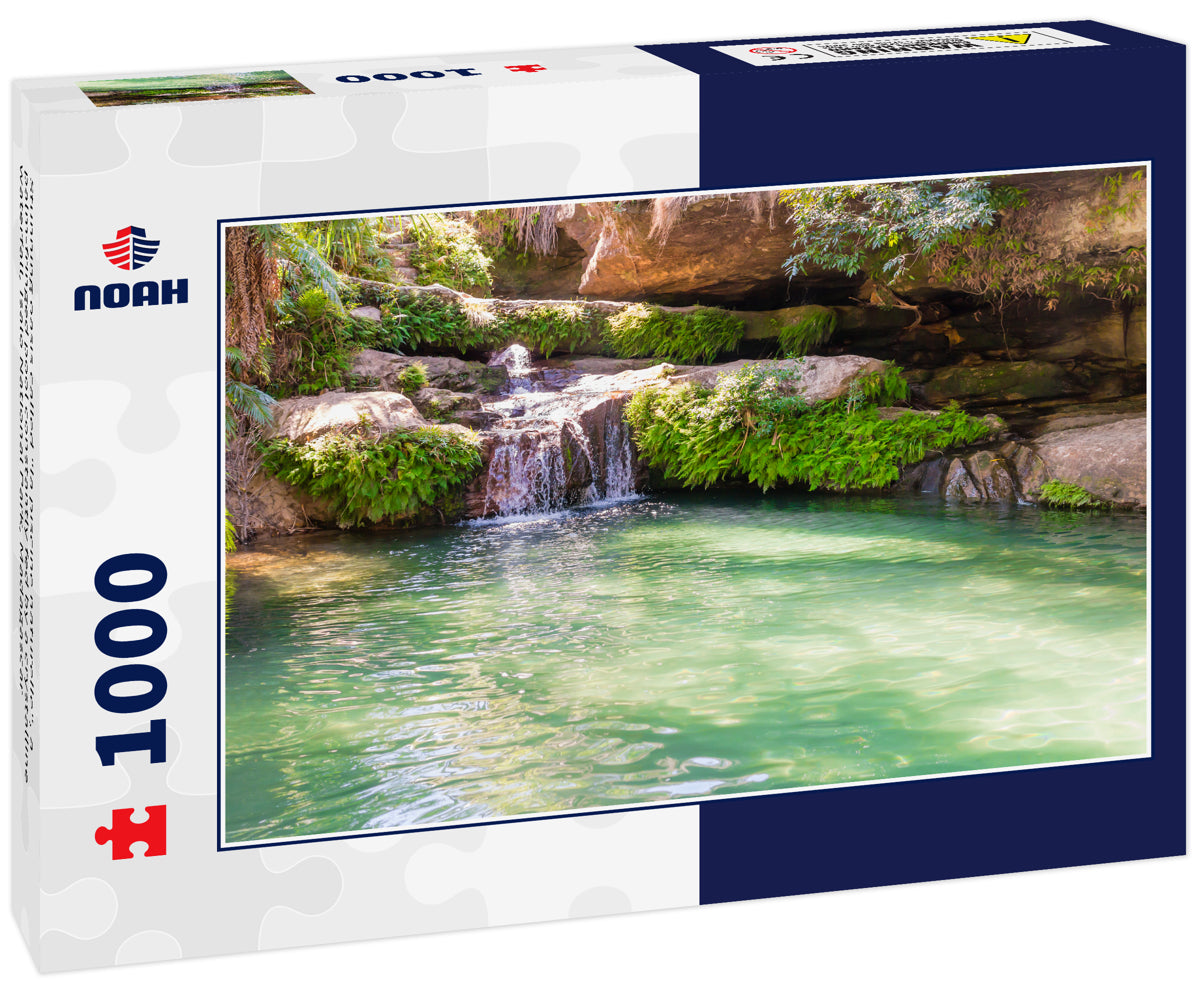 Stunning oasis called "la piscine naturelle", a palm-fringed pool constantly fed by a crystalline waterfall, Isalo National Park, Madagascar