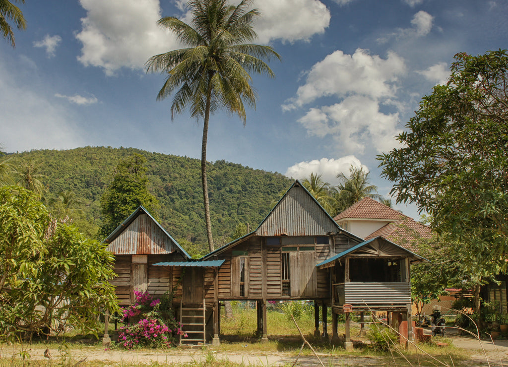 Traditional rural residence with palm tree, village on Penang Island, Malaysia