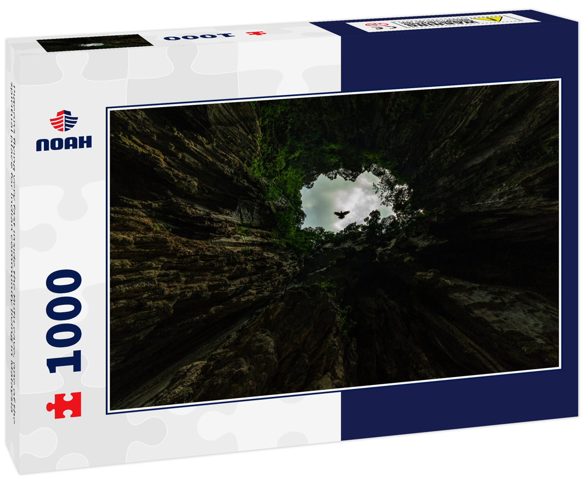 Pigeons flying very fast inside the Butu cave, one of the spiritual place for Indian community living in Malaysia