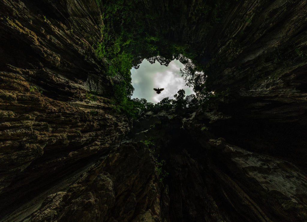 Pigeons flying very fast inside the Butu cave, one of the spiritual place for Indian community living in Malaysia