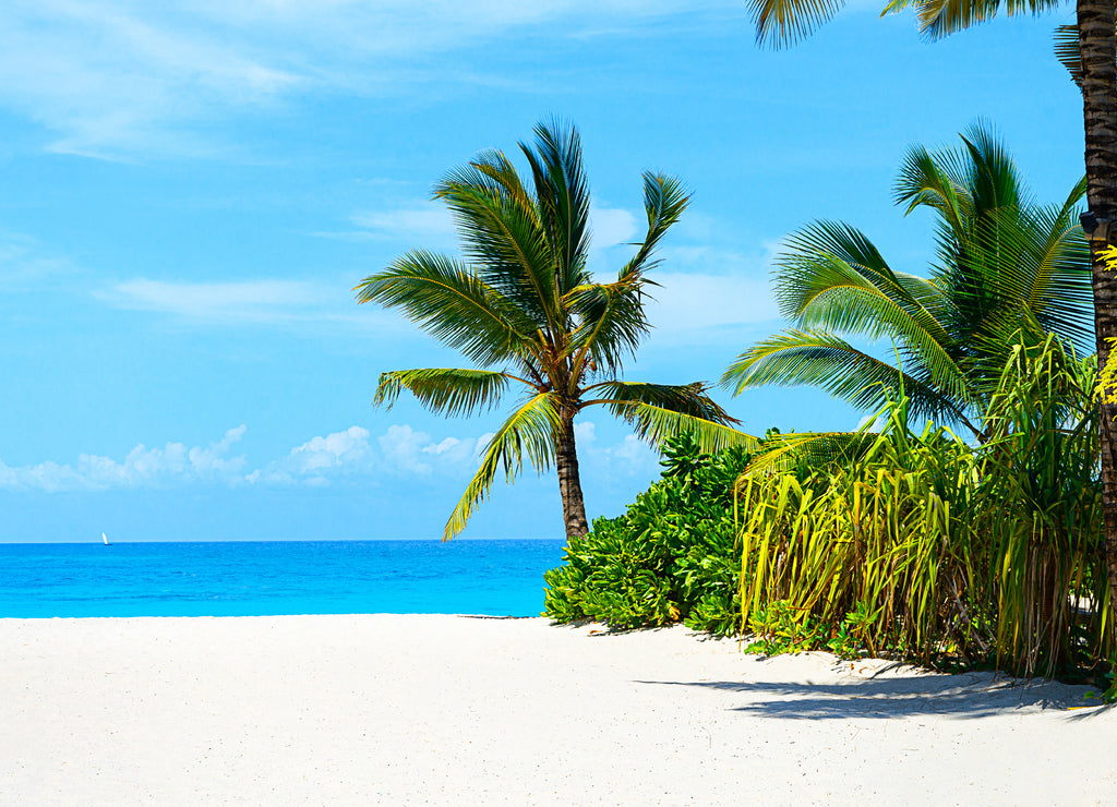 Panoramic view of a beautiful sunny day on sandy beach in the Maldives