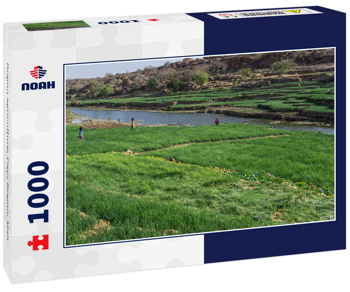 Dogon agriculture, Pays Dogon, Mali