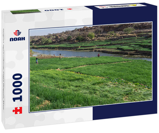 Dogon agriculture, Pays Dogon, Mali