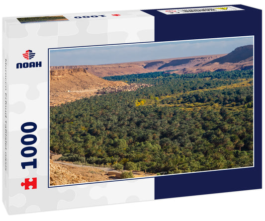 Morocco Erfoud Tafilalet oasis