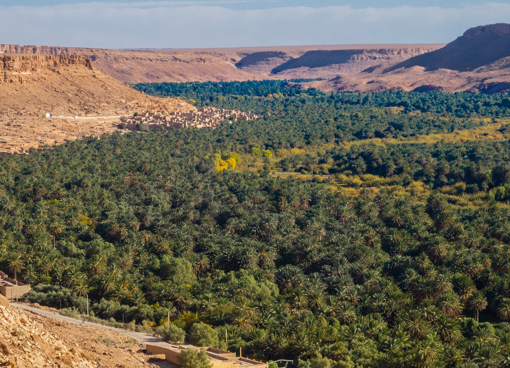 Morocco Erfoud Tafilalet oasis