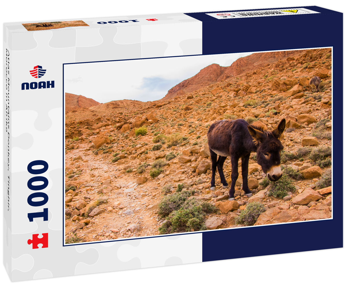 Atlas Mountains Donkey, Tinghir, Morocco in Afrika