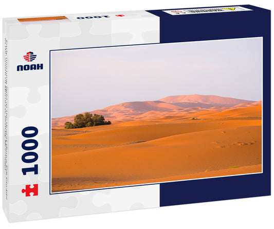 Early morning light at the desert dunes Erg Chebbi in the south of Morocco, nearby Merzouga