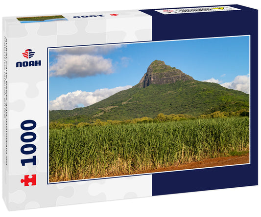 Sugar cane fields and mountain on Mauritius island, africa