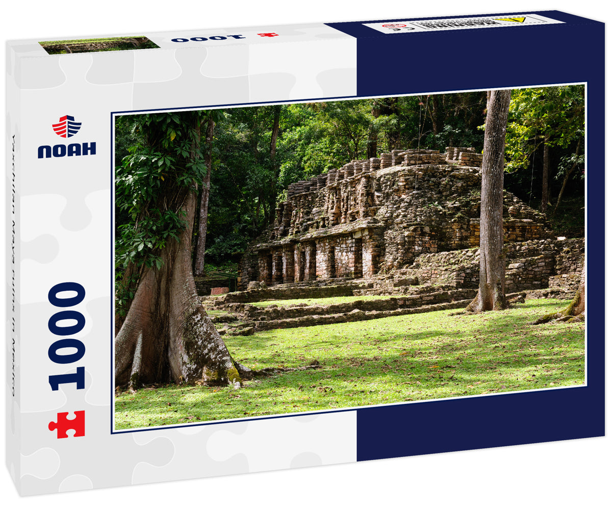 Yaxchilan Maya ruins in Mexico