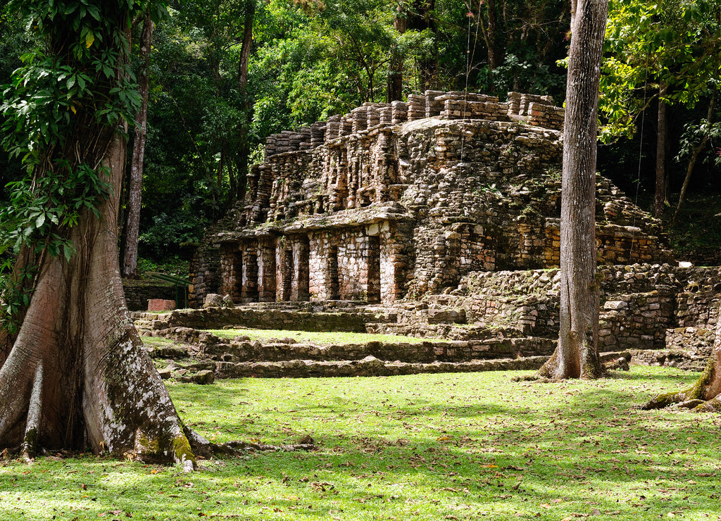 Yaxchilan Maya ruins in Mexico