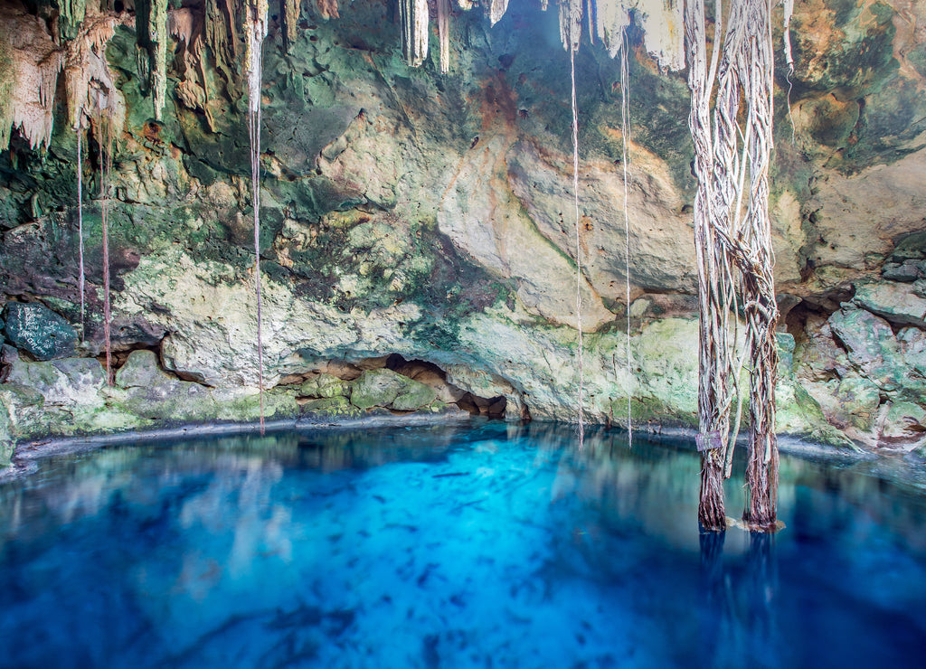 Cenotes in Cuzama, Mexico