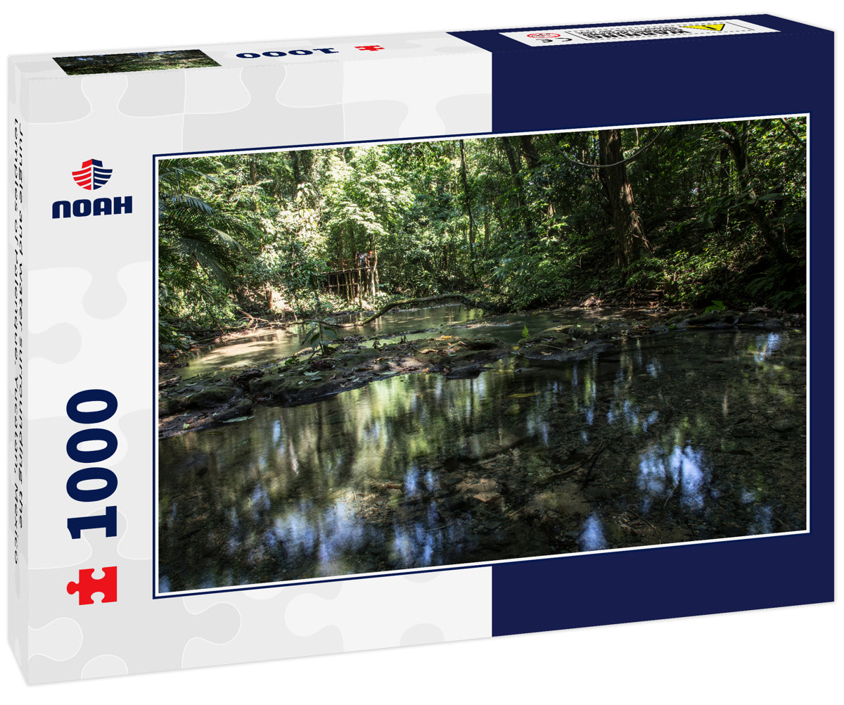 Jungle and water surrounding the temples of Palenque. Yucatan, Mexico