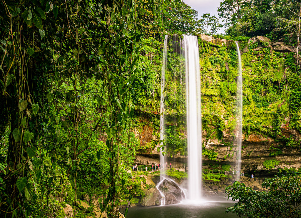 Warm sunlight on the beatiful Misol-Há waterfall in the lush green jungle near Salto del Agua, Palenque, Chiapas, Mexico