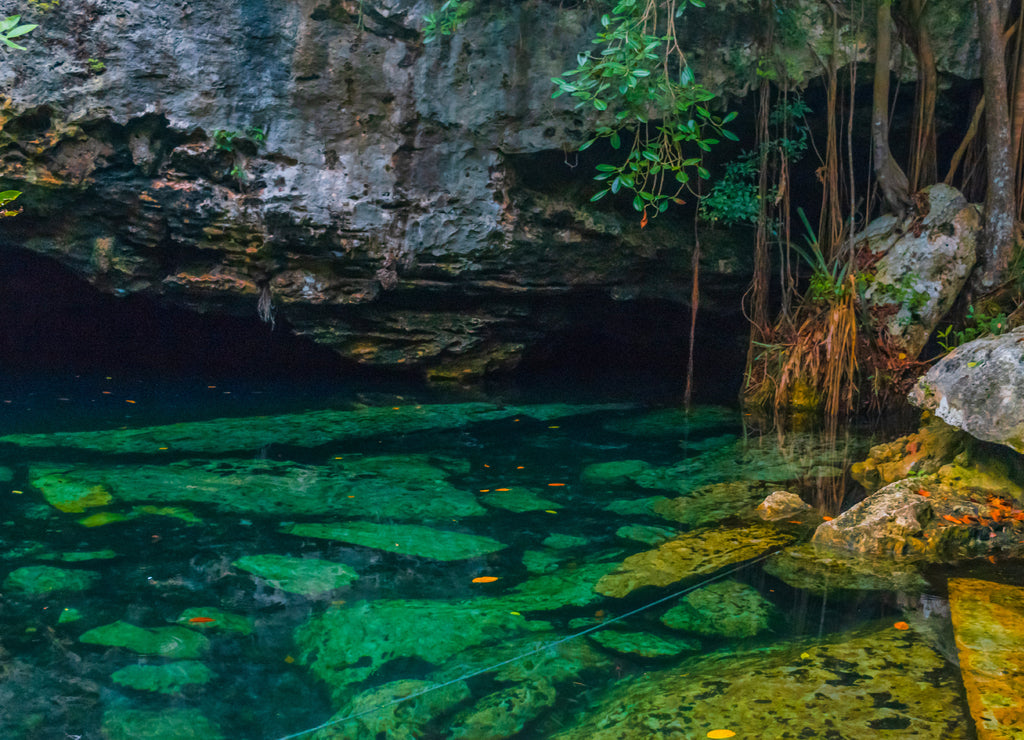 Fullshot of a beautiful clear water cenote in Mexico