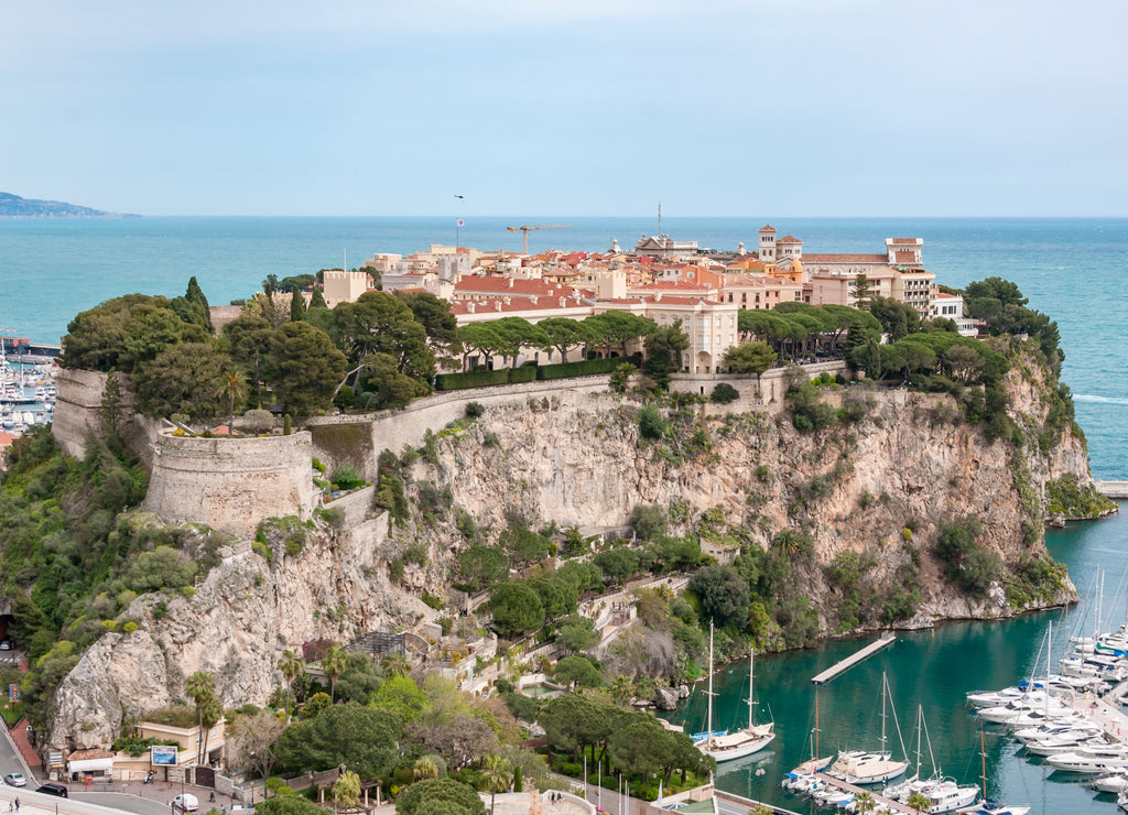 Palace of Monaco seen from the exotic garden