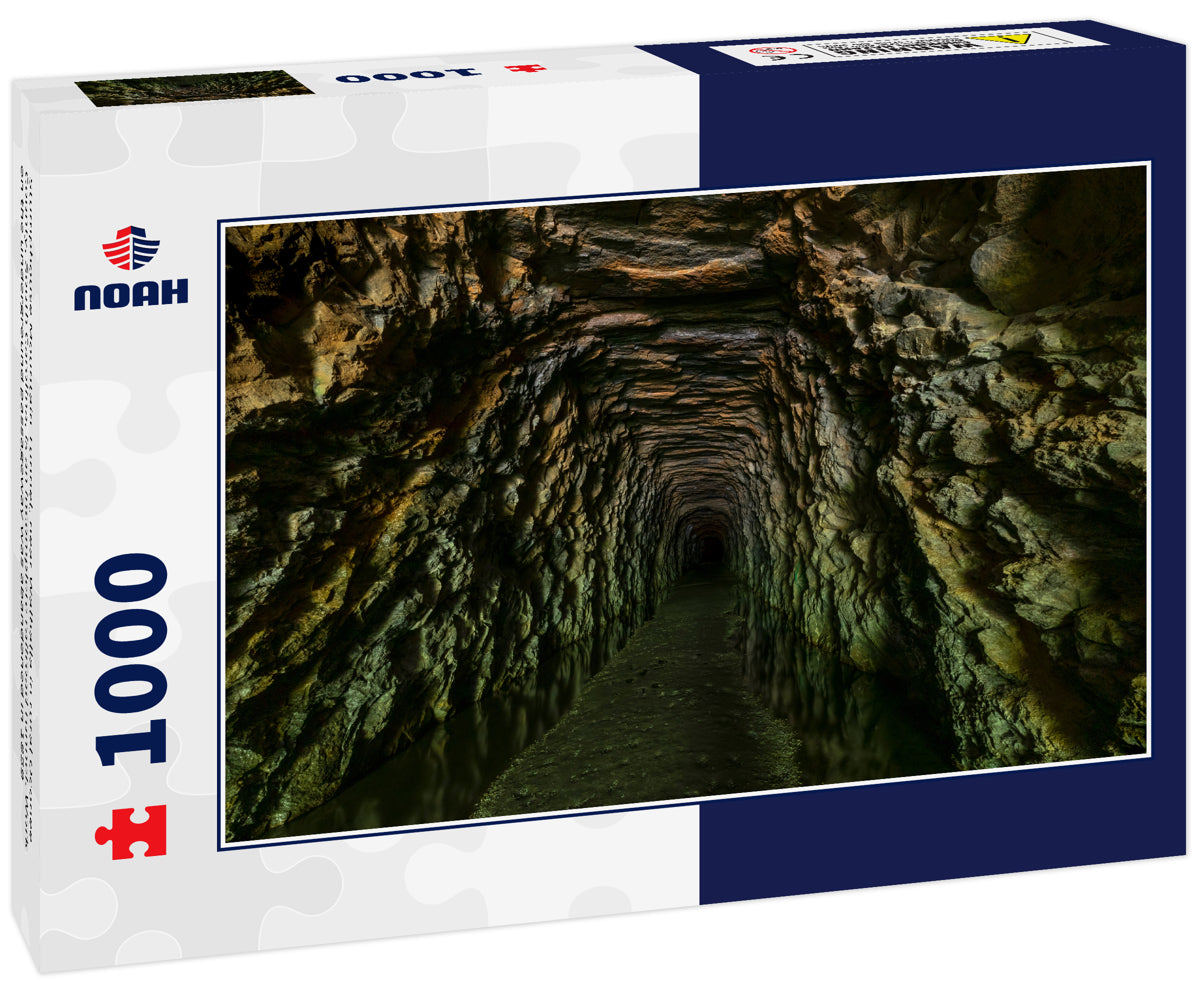 Stumphouse Mountain Tunnel, near Walhalla in rural Oconee County, South Carolina, is an incomplete railroad tunnel. Work on the underground passageway was abandoned in 1859