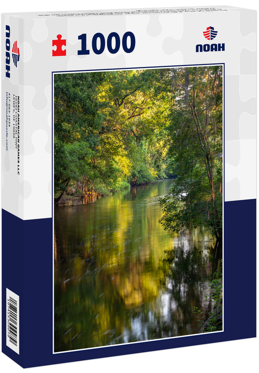 Photo of the Edisto River near Orangeburg, South Carolina with beautiful lighting and reflections on the water in the late spring