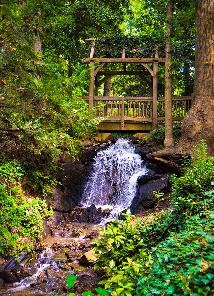 Hatcher Garden and Woodland Preserve in Spartanburg South Carolina