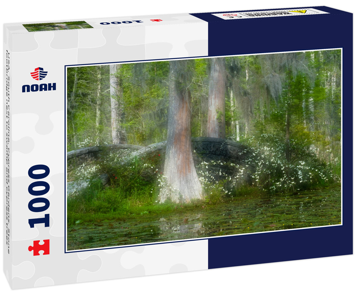 USA, South Carolina, Cypress Gardens. Stone footbridge next to swamp and cypress trees