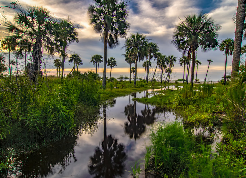 hunting island beach and state park in South Carolina