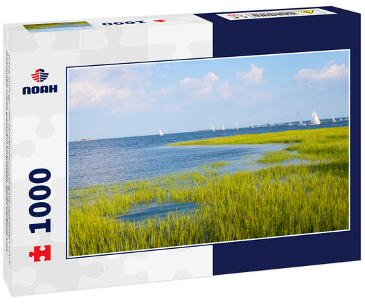 Scenic summer view of sailboats crossing the blue waters of the tidal Cooper River running into a harbor lined with green lowcountry marsh grasses in Charleston, South Carolina, USA