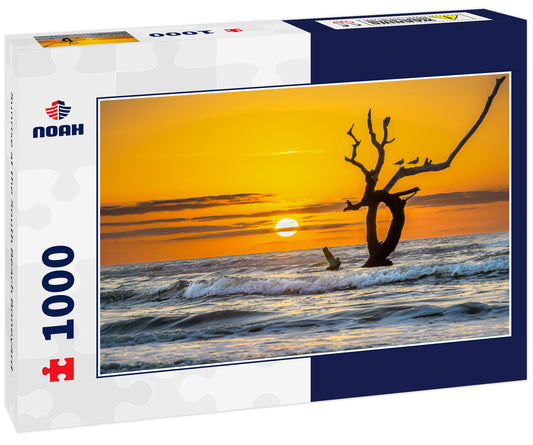 Sunrise at the South Beach Boneyard