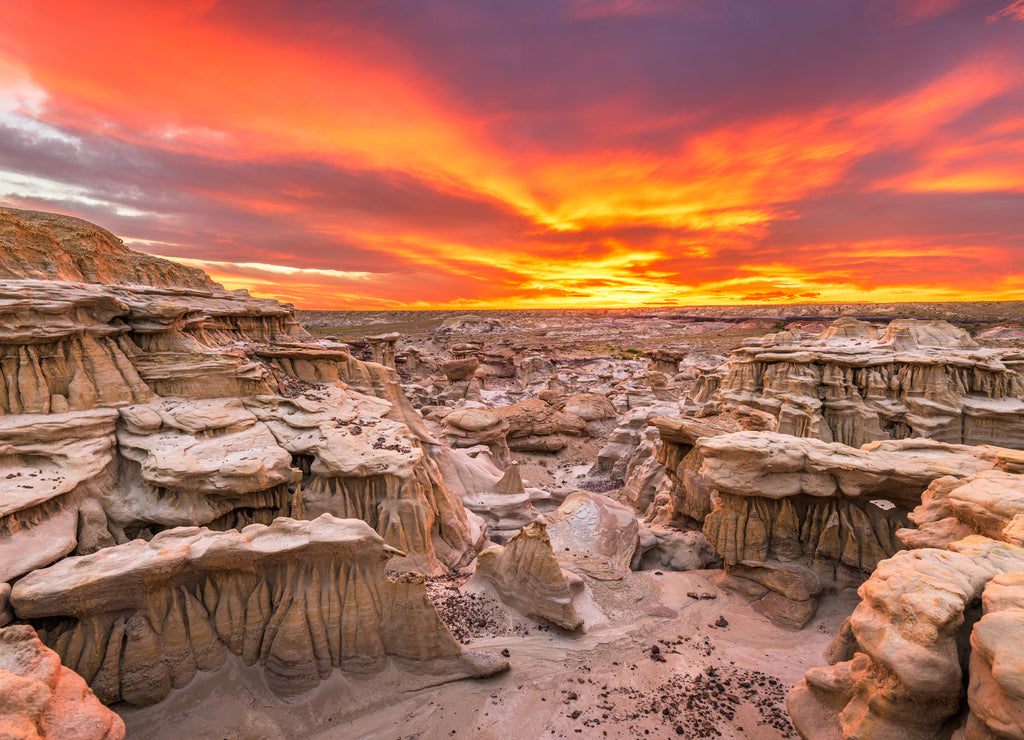 Bisti Badlands, New Mexico, USA