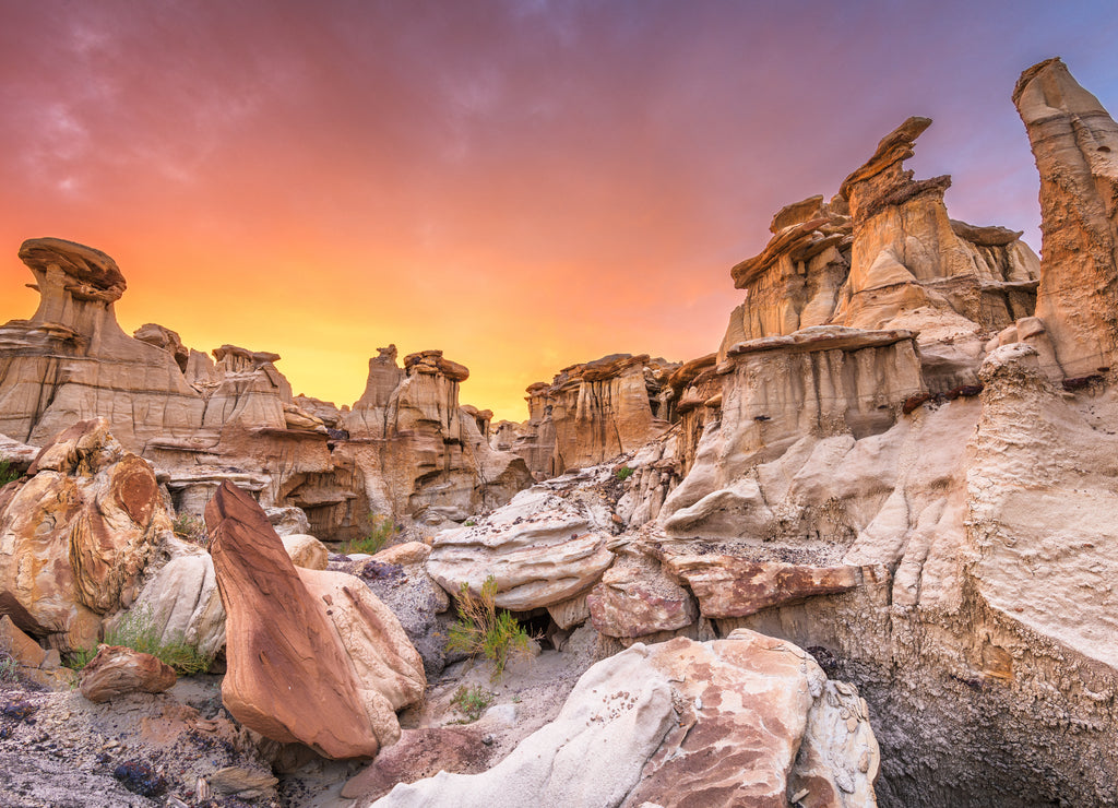 Bisti/De-Na-Zin Wilderness, New Mexico, USA