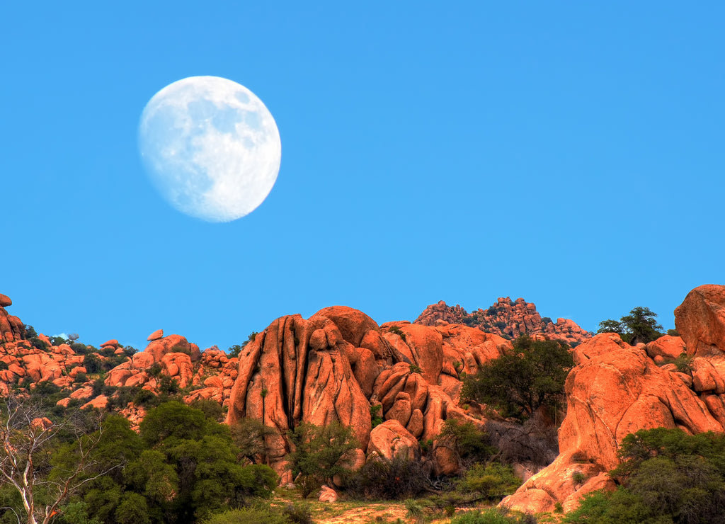 Desert Moon, New Mexico